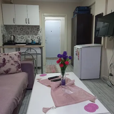 Studio Au Sous Sol Apartment Istanbul
